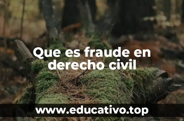 Que es fraude en derecho civil