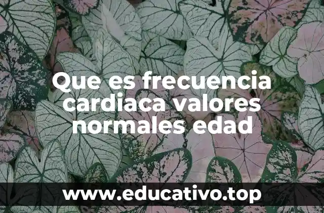 Que es frecuencia cardiaca valores normales edad