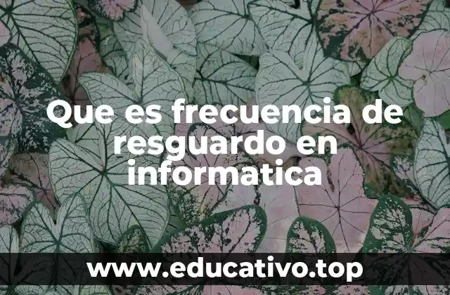 Que es frecuencia de resguardo en informatica