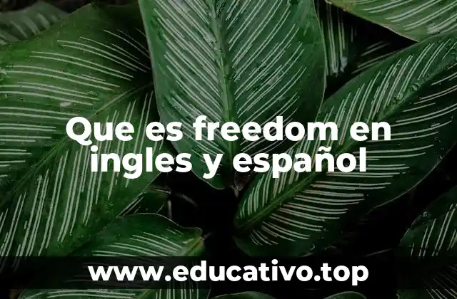 Que es freedom en ingles y español