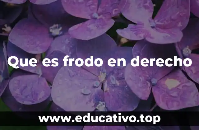 Que es frodo en derecho