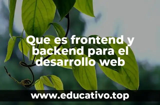 Que es frontend y backend para el desarrollo web