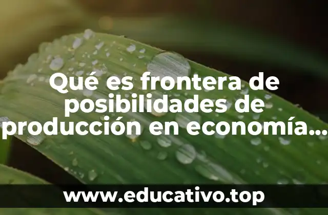 Qué es frontera de posibilidades de producción en economía ejemplos