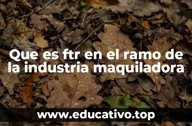 Que es ftr en el ramo de la industria maquiladora