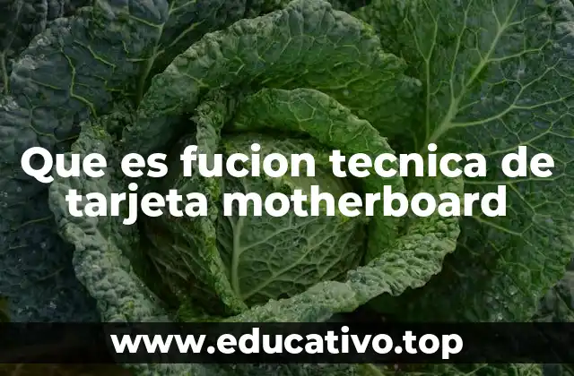 Que es fucion tecnica de tarjeta motherboard