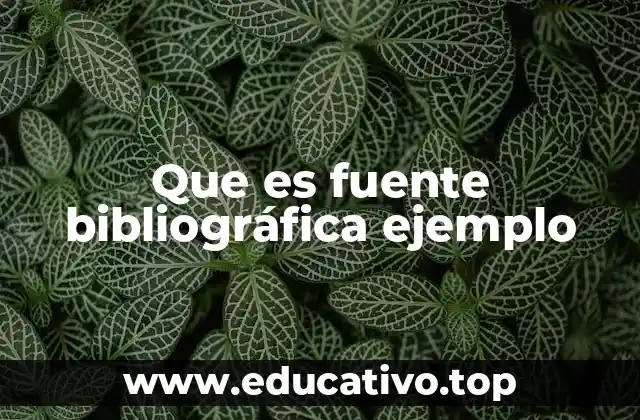 Que es fuente bibliográfica ejemplo