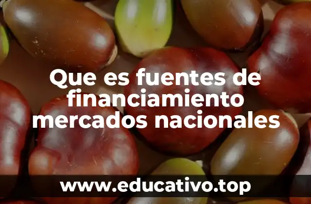 Que es fuentes de financiamiento mercados nacionales