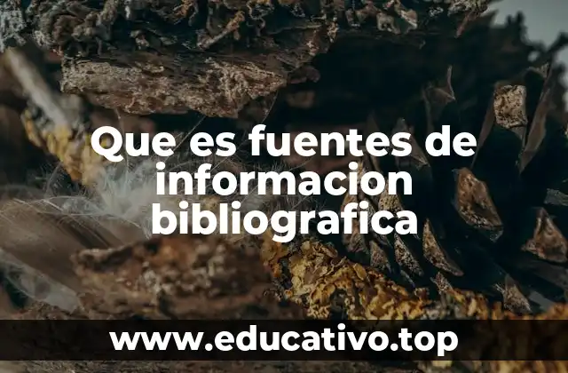 Que es fuentes de informacion bibliografica