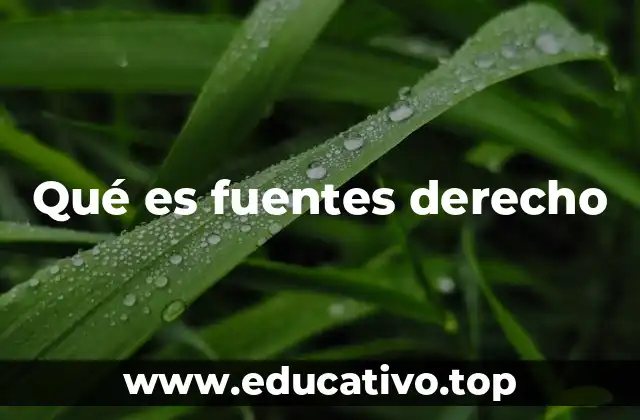 Qué es fuentes derecho