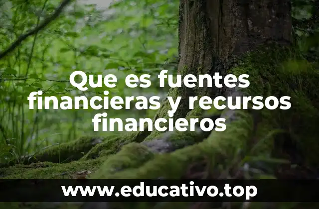 Que es fuentes financieras y recursos financieros