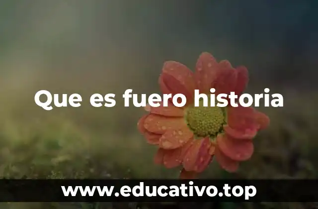 Que es fuero historia