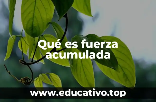 Qué es fuerza acumulada