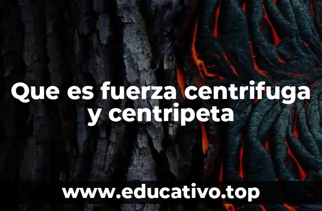 Que es fuerza centrifuga y centripeta