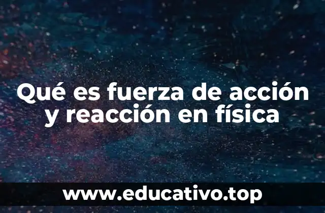 Qué es fuerza de acción y reacción en física