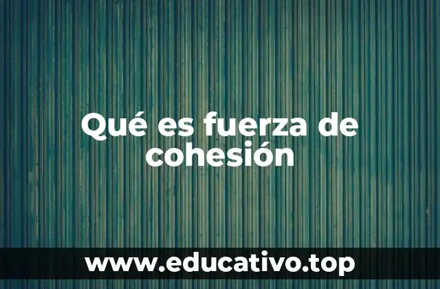 Qué es fuerza de cohesión