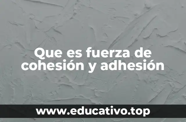 Cómo actúan las fuerzas moleculares en la naturaleza