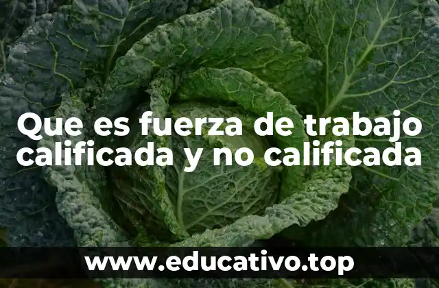 El impacto de la calidad de la fuerza laboral en la economía