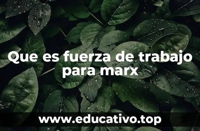 Que es fuerza de trabajo para marx