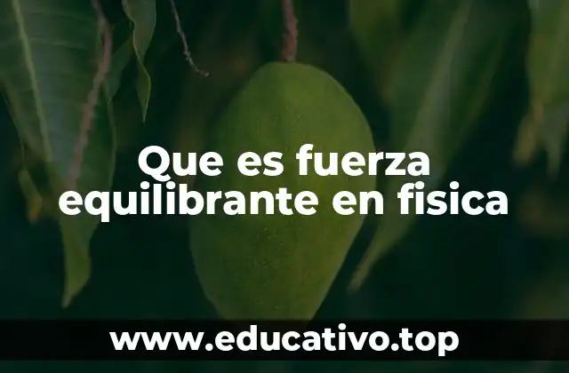 Que es fuerza equilibrante en fisica