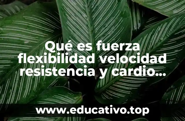 Qué es fuerza flexibilidad velocidad resistencia y cardio respiración