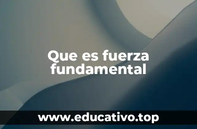 El papel de las fuerzas en la estructura del universo