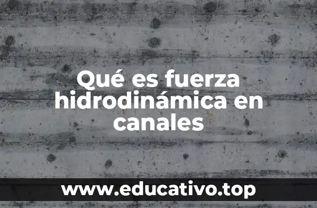 Qué es fuerza hidrodinámica en canales