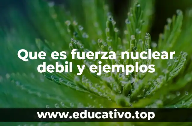 Que es fuerza nuclear debil y ejemplos