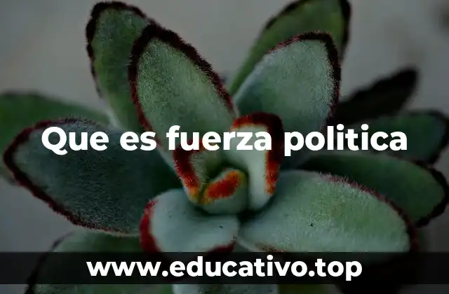 Que es fuerza politica