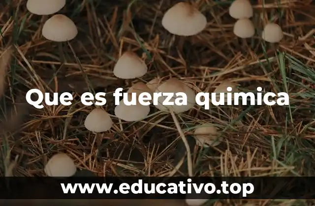 Que es fuerza quimica