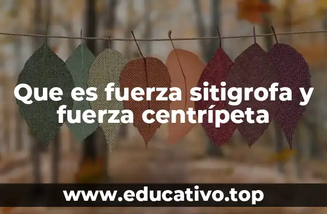 Que es fuerza sitigrofa y fuerza centrípeta