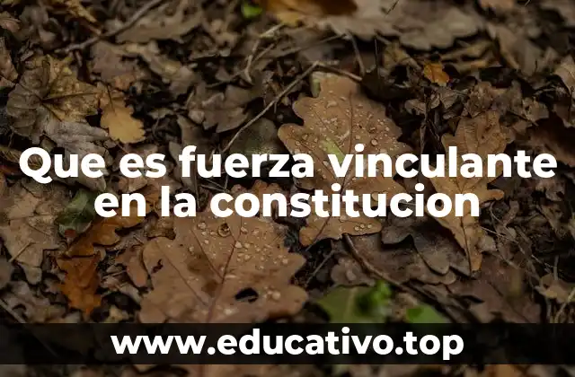 Que es fuerza vinculante en la constitucion