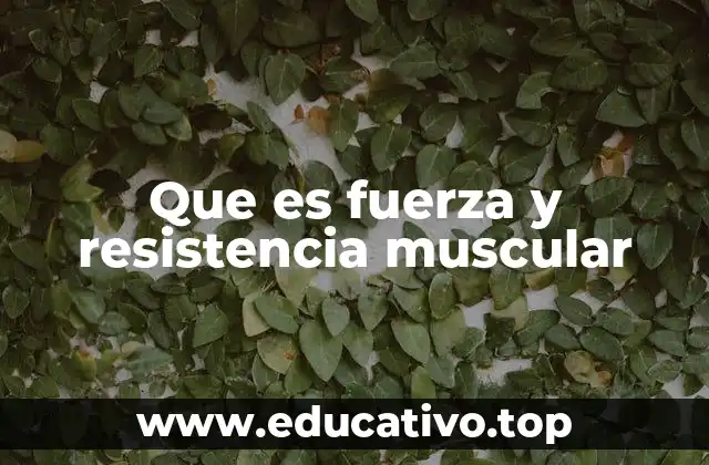 Que es fuerza y resistencia muscular