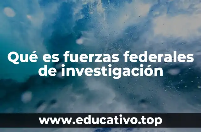 Qué es fuerzas federales de investigación