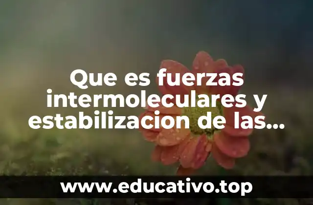 Que es fuerzas intermoleculares y estabilizacion de las proteinaas