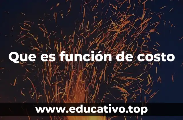Que es función de costo