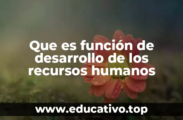 Que es función de desarrollo de los recursos humanos