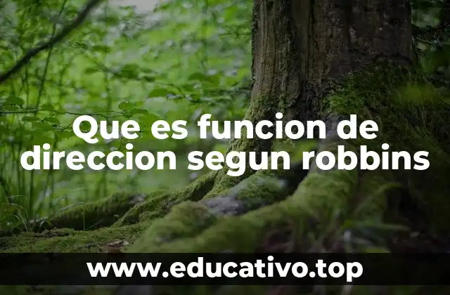Que es funcion de direccion segun robbins