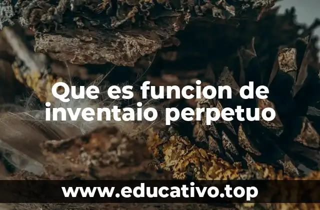 Que es funcion de inventaio perpetuo