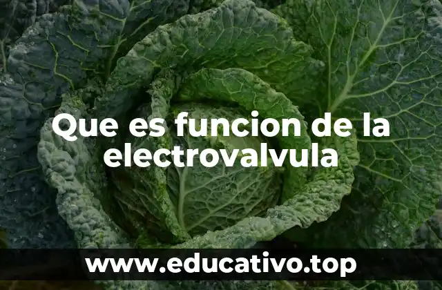 Cómo funciona una electroválvula sin mencionar directamente el término
