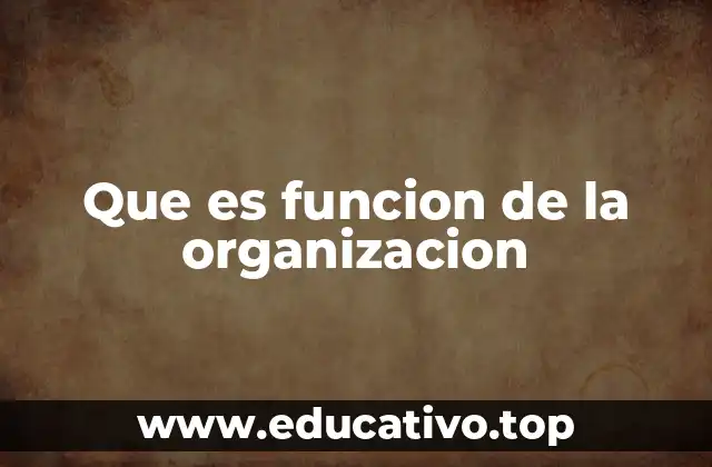 Que es funcion de la organizacion