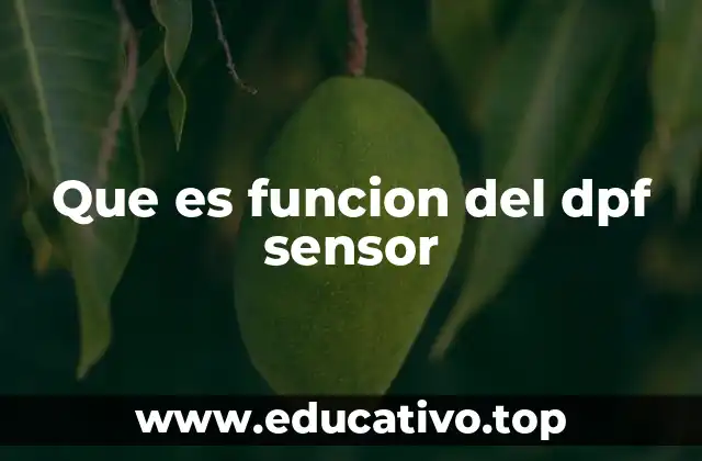 Que es funcion del dpf sensor
