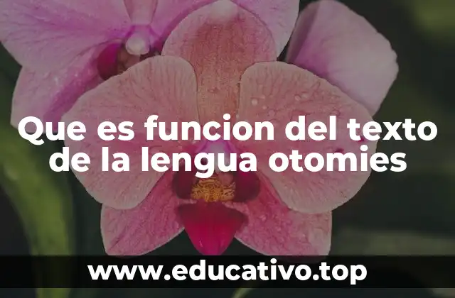 Que es funcion del texto de la lengua otomies