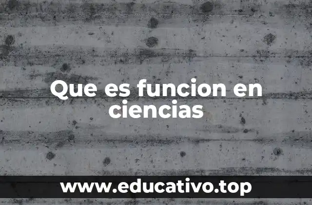 Que es funcion en ciencias