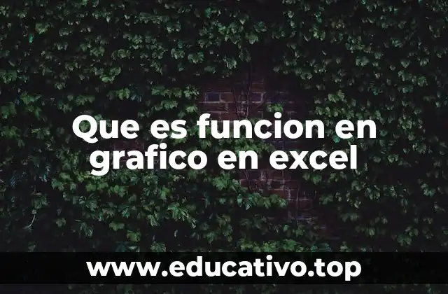 Que es funcion en grafico en excel