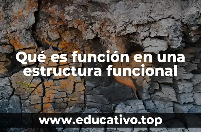 Qué es función en una estructura funcional
