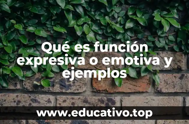 El rol emocional en la comunicación humana