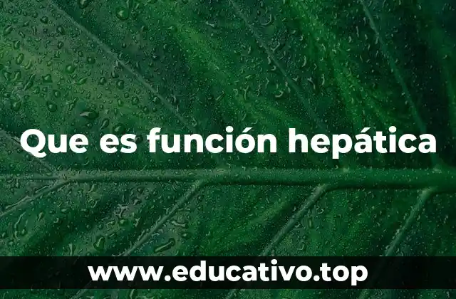 Que es función hepática