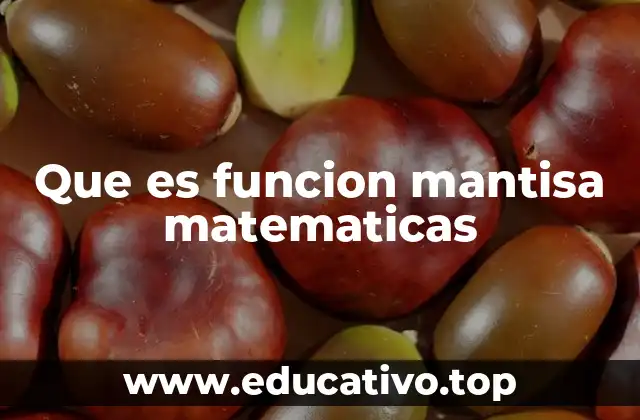 Que es funcion mantisa matematicas