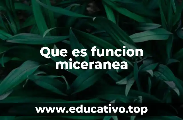 Que es funcion miceranea