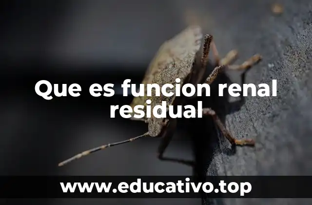 Que es funcion renal residual